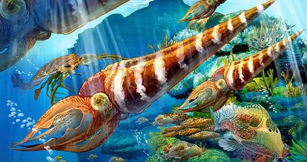 Các nhà nghiên cứu tin rằng trường hợp đặc biệt này chỉ có thể xảy ra khi một sự kiện bất thường, thảm khốc nào đó đã nhanh chóng "đóng băng" sinh vật, rất có thể là một cơn lũ bùn ập xuống bất ngờ, sau đó những dòng bùn đặc sệt liên tục bồi thêm.