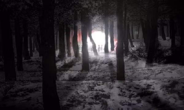 Đội tuần tra an ninh được cử đến khu vực gồm Budd Stevens và Sargent Jim Penniston sau đó đã nhìn thấy những ánh sáng đỏ rực kỳ lạ, rực rỡ chói lọi xuyên qua những tán cây của khu rừng Rendlesham.