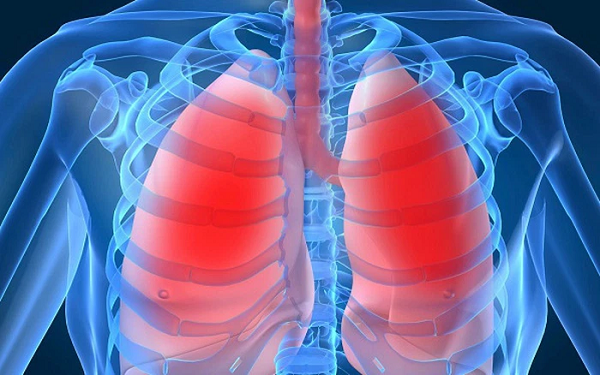 Các tế bào RAS có cấu trúc tương tự tế bào gốc. Với đặc tính “trống”, nó có thể biến hóa thành bất kỳ tế bào nào khác trong cơ thể và sửa chữa tế bào phế nang bị hư hỏng, biến đổi thành tế bào mới.