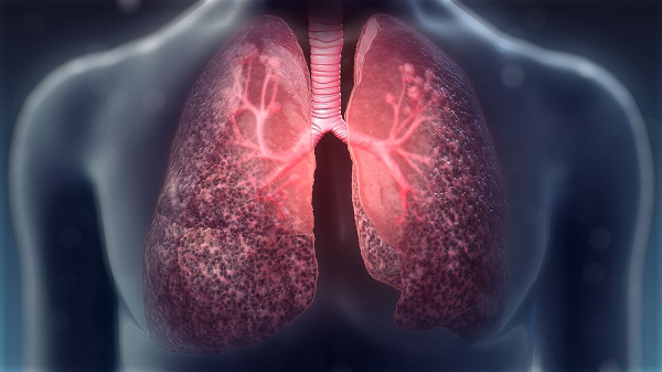 Một điểm thú vị khác là các tế bào biết biến hình này có thể là "tài sản riêng" của loài người. Các cuộc kiểm tra trên chuột không hề tìm thấy RAS.