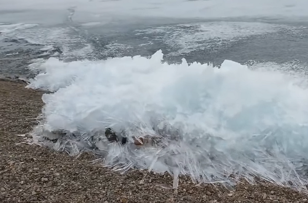 Theo một nghiên cứu, các tảng băng bị đẩy đi quãng đường khoảng 400 m trong vài giờ, mặc dù chúng chỉ lấn vào đất liền một vài mét.