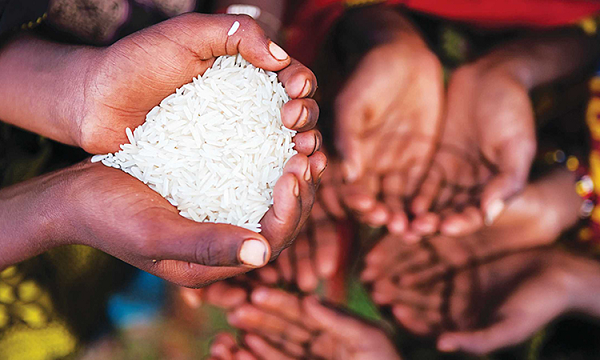 Tuy nhiên, không phải tất cả những dự đoán của Abhigya đều trở thành sự thực. Điển hình như có lần nhà tiên tri cảnh báo rằng ngày 13/4/2022 sẽ trở thành một cột mốc đáng nhớ nhưng lại không có gi xảy ra.