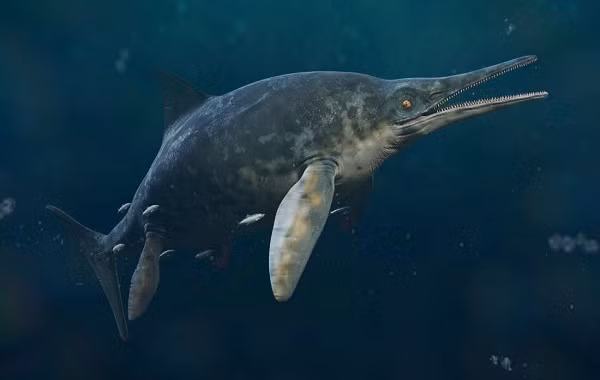 Ichthyosaurs được gọi là "ngư long", tức "rồng biển", là do thân hình hết sức kỳ dị: vẻ ngoài trông giống một con cá voi quái vật đáng sợ nhưng bản chất bên trong lại là bò sát.