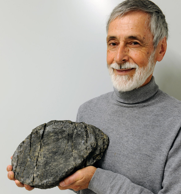 Cụ thể, nhóm khoa học gia dẫn đầu bởi nhà cổ sinh vật học Martin Sander từ Trường ĐH Bonn (Đức) đã tìm thấy chúng ở lần lượt ở 3 đỉnh khác nhau của dãy Alps.