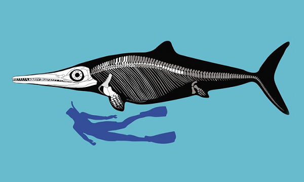 Một mảng của đại dương kỷ Tam Điệp sau 205 triệu năm đã hóa thành đỉnh Alps, tạo cơ hội cho quái vật mà nó kỳ công bảo tồn được hiện hình trước thế giới một lần nữa.