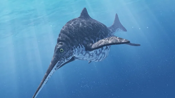 Những con thằn lằn cá Ichthyosaur khổng lồ từng bơi lội ở Panthalassa, một đại dương rộng lớn bao quanh siêu lục địa Pangea trong kỷ Trias muộn.