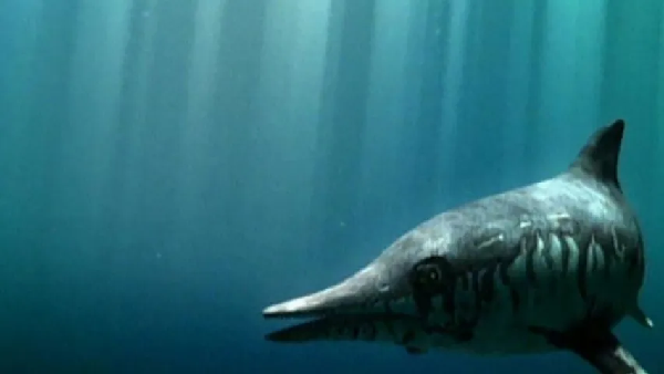 Nhóm này đạt đến sự đa dạng lớn nhất trong kỷ Trias giữa - và một số loài vẫn tồn tại trong kỷ Phấn trắng. Ichthyosaur cũng từng được tìm thấy ở Nam Mỹ, châu Á và Úc.