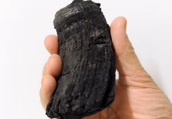 3 mẫu hoá thạch có niên đại lên đến 205 triệu năm, tức thuộc kỷ Tam Điệp, thuộc về dòng giống bò sát " quái vật biển sâu" nổi tiếng Ichthyosaurs, tức "thằn lằn cá" hay "ngư long" mới đây đã được tìm thấy ở nơi không thể tin nổi.