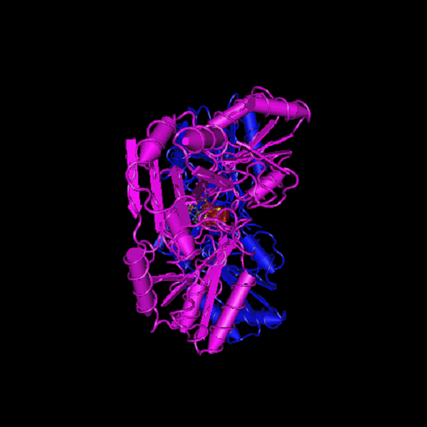 Cụ thể, đó là loài cổ khuẩn có tên Methanoperedens thuộc nhóm ANME, tức những cổ khuẩn tự dưỡng kỵ khí. Chúng có khả năng oxy hóa khí mê-tan với một chút nitrat là chất xúc tác.