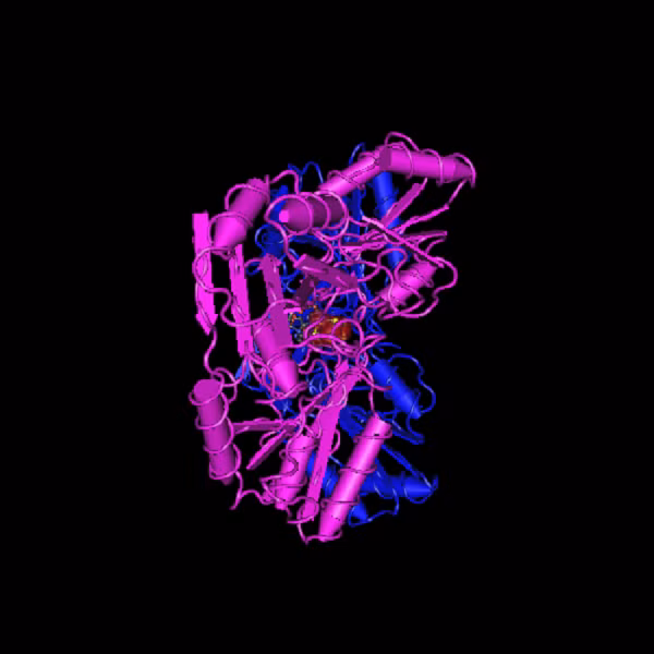 Cụ thể, đó là loài cổ khuẩn có tên Methanoperedens thuộc nhóm ANME, tức những cổ khuẩn tự dưỡng kỵ khí. Chúng có khả năng oxy hóa khí mê-tan với một chút nitrat là chất xúc tác.