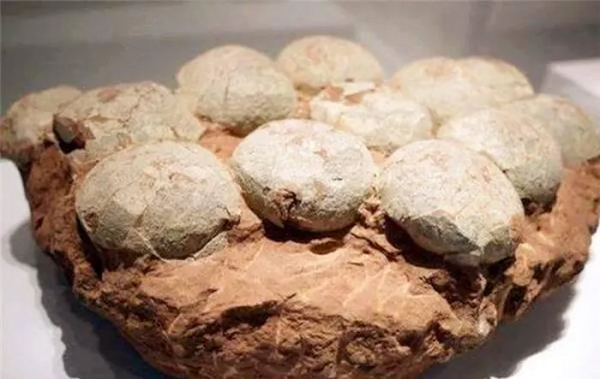 Sau khi xem xét, các thương lái cũng không biết đây là đá gì nhưng vì thấy chúng có hình thù và màu sắc khá kỳ lạ, trông như những quả trứng nên đã đề nghị mua lại với giá 0.6 tệ (khoảng 2000 nghìn VNĐ) 1 viên.