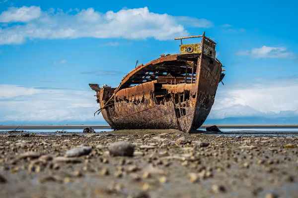 Người Viking được biết đến với những tên cướp biển, với vô số chuyến viễn chinh cướp bóc, giương buồm đi khắp châu Âu và Bắc Đại Tây dương. Vì thế, họ có biệt tài đi biển, bên cạnh đó còn giỏi cả về làm nghề nông, thợ thủ công hoặc thương gia.