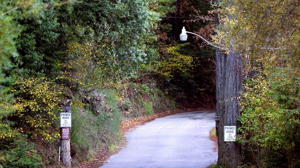 Rừng Bohemain thuộc quyền sở hữu của một nhóm người ở San Fransisco, được gọi với tên Bộ tộc Bohemain. Suốt 100 năm, mọi hoạt động của bộ tộc này luôn được giữ bí mật. Nhà báo hay những người muốn đến để nghiên cứu vùng đất này đều không được hoan nghênh.