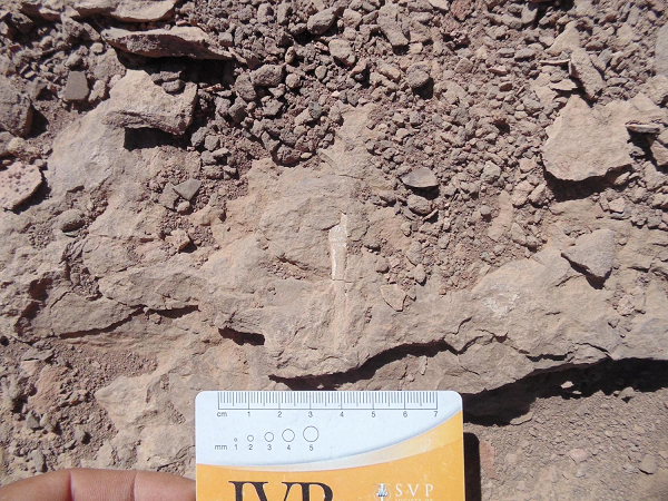 Tuy nhiên, nguyên nhân sâu xa là từ tác động giữa các mảng kiến tạo vẫn không ngừng dịch chuyển, và "siêu quái vật" từ lòng đất vẫn có thể trỗi dậy lần nữa nếu chúng ta không rút kinh nghiệm từ sự kiện này.