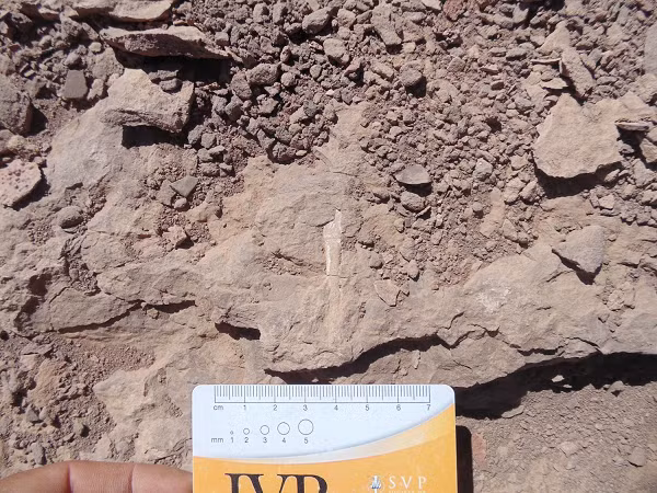 Tuy nhiên, nguyên nhân sâu xa là từ tác động giữa các mảng kiến tạo vẫn không ngừng dịch chuyển, và "siêu quái vật" từ lòng đất vẫn có thể trỗi dậy lần nữa nếu chúng ta không rút kinh nghiệm từ sự kiện này.