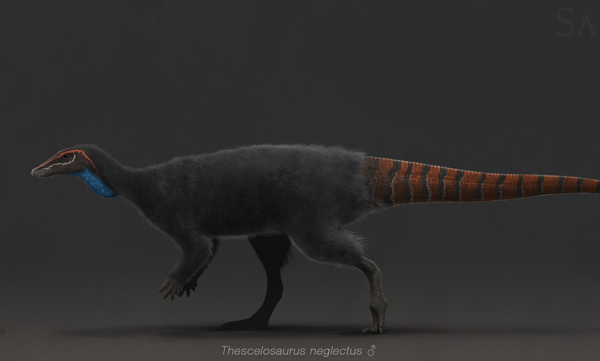 ...Chúng không có lông vũ như những loài ăn thịt cùng thời", giáo sư Paul Barrett tại Bảo tàng Lịch sử Tự nhiên London, chuyên gia về khủng long hông chim (chủ yếu ăn thực vật), nói về hài cốt chân khủng long.