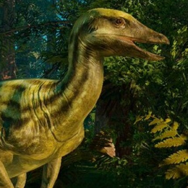 "Đó là một con Thescelosaurus. Trước đây, chúng tôi chưa có bất cứ bằng chứng nào về da của nhóm khủng long này. Phát hiện mới cho thấy chúng có nhiều vảy giống như thằn lằn...