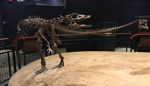 "Đây là điều đáng kinh ngạc nhất mà chúng tôi có thể tưởng tượng, điều mà chúng tôi luôn muốn tìm kiếm ở đây và chúng tôi đã có được nó" - tiến sĩ DePalma nói.