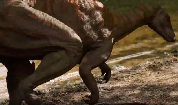 Với những cá thể không trực tiếp thiệt mạng do vụ va chạm thì cũng không thể tồn tại vì vụ việc gây ra một đám mây bụi, bồ hóng khổng lồ, biến đổi khí hậu toàn cầu.