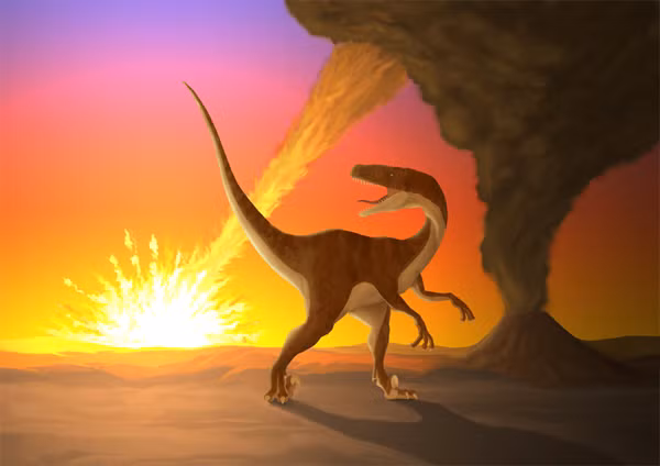 "Nghĩa địa khủng long" Tanis phát hiện vào năm 2008 nhưng mãi đến năm 2019 người ta mới công bố với toàn thế giới cùng với các khám phá xương khủng long, hóa thạch của các loài bò sát biển, lông vũ, trứng...