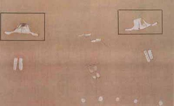 Có thể trông thấy một số vật thể hình đĩa bay trong các bức họa hang động có niên đại từ 27.000 TCN ở Itolo, Tanzania, Châu Phi.