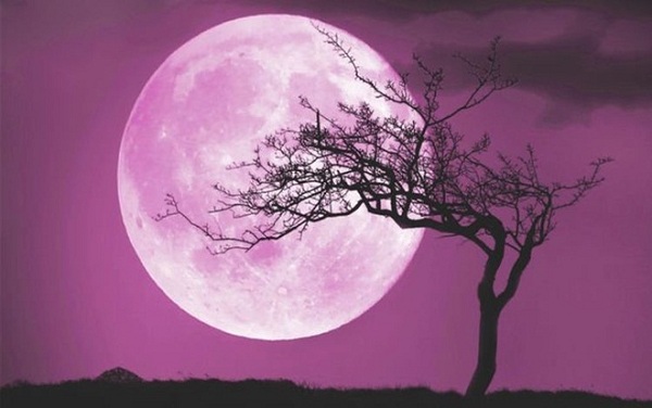 Đây là hiện tượng xảy ra khi Mặt Trăng nằm ở phía đối diện của Trái Đất so với Mặt Trời và mặt của nó sẽ được chiếu sáng hoàn toàn, với độ sáng cao hơn khoảng 15% so với thông thường.