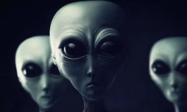 Câu chuyện của bà có tính thuyết phục hơn khi Paula chỉ ra nhiều vết bầm tím làm bằng chứng cho những chuyến phiêu lưu trên UFO cùng ngoài ngoài hành tinh.