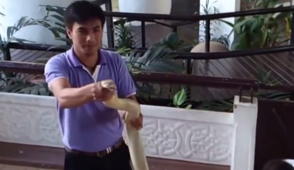 Rắn hổ mang chúa sống ở phía bắc Ấn Độ, từ đông sang nam Trung Quốc, bao gồm Hồng Kông và Hải Nam; phía nam trên khắp bán đảo Malay và phía đông sang phía tây Indonesia và Philippines.