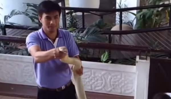 Rắn hổ mang chúa sống ở phía bắc Ấn Độ, từ đông sang nam Trung Quốc, bao gồm Hồng Kông và Hải Nam; phía nam trên khắp bán đảo Malay và phía đông sang phía tây Indonesia và Philippines.