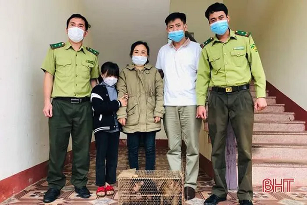 Được biết, 2 cá thể khỉ quý hiếm này được chị Đinh Thị Hồng, trú thôn Chế Biến (xã Sơn Kim 2, Hương Sơn) mua lại của một người dân trên địa bàn huyện.