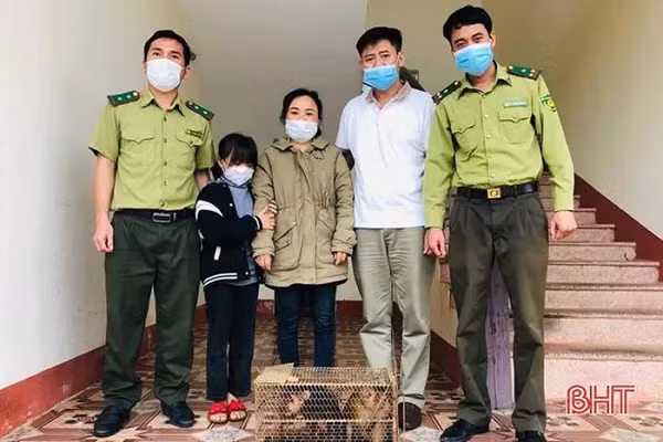 Được biết, 2 cá thể khỉ quý hiếm này được chị Đinh Thị Hồng, trú thôn Chế Biến (xã Sơn Kim 2, Hương Sơn) mua lại của một người dân trên địa bàn huyện.