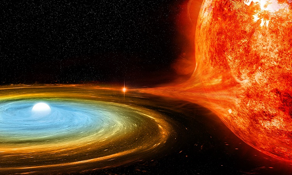 Hai vi tân tinh đến từ các sao lùn trắng đã biết, TV Columbae và EI Ursae Majoris, nhưng vi tân tinh thứ ba, ASASSN-19bh, cần nhiều quan sát hơn với thiết bị X-Shooter trên Kính viễn vọng Very Large (VLT) của ESO để xác nhận tình trạng sao lùn trắng của nó.