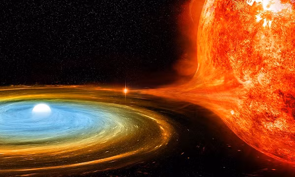 Hai vi tân tinh đến từ các sao lùn trắng đã biết, TV Columbae và EI Ursae Majoris, nhưng vi tân tinh thứ ba, ASASSN-19bh, cần nhiều quan sát hơn với thiết bị X-Shooter trên Kính viễn vọng Very Large (VLT) của ESO để xác nhận tình trạng sao lùn trắng của nó.