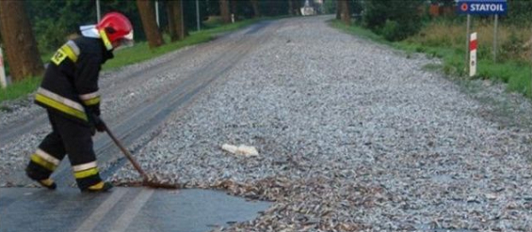 Ông cầu nguyện cho họ liên tiếp ba ngày ba đêm. Sau khi ông cầu nguyện, người ta thấy những đám mây đen kịt ở chân trời. Ngày hôm đó mưa lớn đổ ập xuống và rất nhiều cá từ trên trời rơi xuống.