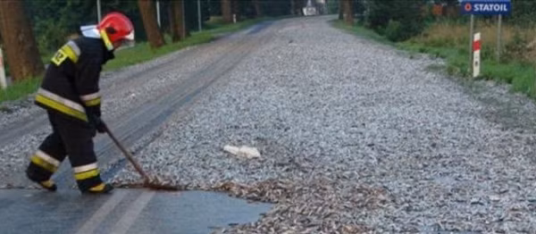 Ông cầu nguyện cho họ liên tiếp ba ngày ba đêm. Sau khi ông cầu nguyện, người ta thấy những đám mây đen kịt ở chân trời. Ngày hôm đó mưa lớn đổ ập xuống và rất nhiều cá từ trên trời rơi xuống.