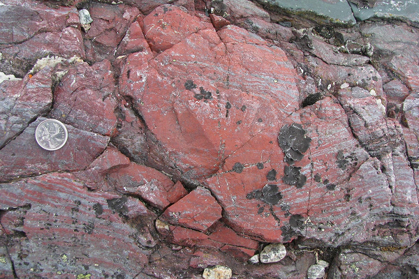 Tuy nhiên, một nghiên cứu mới đây của các nhà khoa học đến từ University College London (UCL, trường thành viên của Viện Đại học London, Anh) lại có phát hiện thay đổi lịch sử này của Trái đất.