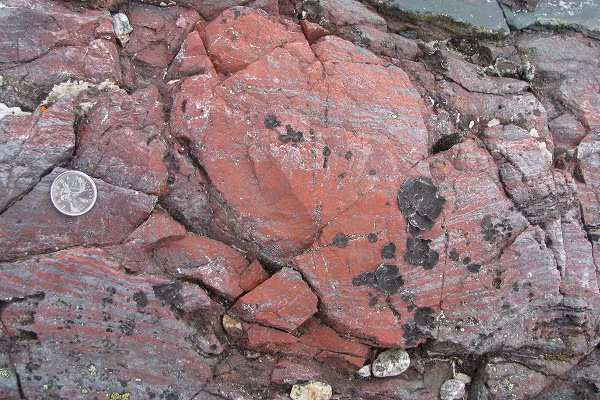 Tuy nhiên, một nghiên cứu mới đây của các nhà khoa học đến từ University College London (UCL, trường thành viên của Viện Đại học London, Anh) lại có phát hiện thay đổi lịch sử này của Trái đất.