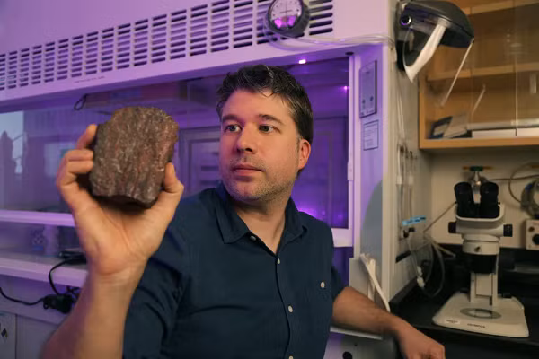 Những phát hiện mới này còn cho thấy có thể có nhiều loại vi sinh vật khác nhau đã tồn tại trên Trái đất thuở sơ khai. Điều này cũng mở ra khả năng tìm kiếm sự sống trên các hành tinh khác.