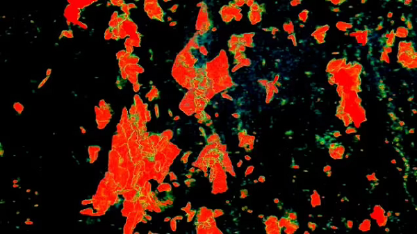 Không những thế, thứ các nhà khoa học phát hiện được bên trong viên đá lần này lại phức tạp hơn nhiều: giống như một thân cây nhỏ có các nhánh song song ở một bên, dài gần 1 cm.