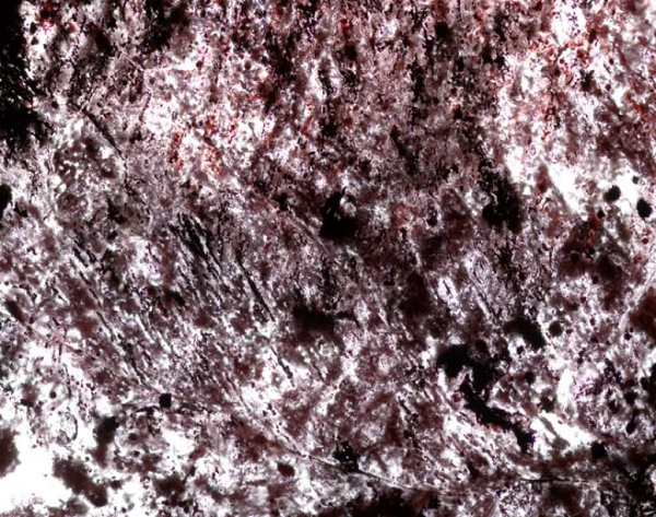 Cụ thể, họ đã thu thập được một viên đá từ đáy biển cổ đại ở Quebec - Canada có những cấu trúc nhỏ bé nhưng vô cùng tinh vi, rất có thể có nguồn gốc sinh học bởi không phù hợp với bất cứ dạng cấu trúc nào mà các phản ứng hóa học có thể tạo nên.