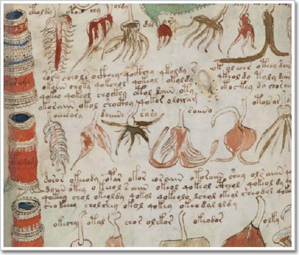 Bản thảo viết tay Voynich có lẽ là quyển sách khó đọc nhất trên thế giới. Các nhà mật mã đã ra sức giải mã chữ viết lạ lùng này nhưng chưa ai thành công. Thậm chí một số người còn cho đây chỉ là một trò đùa của người xưa.