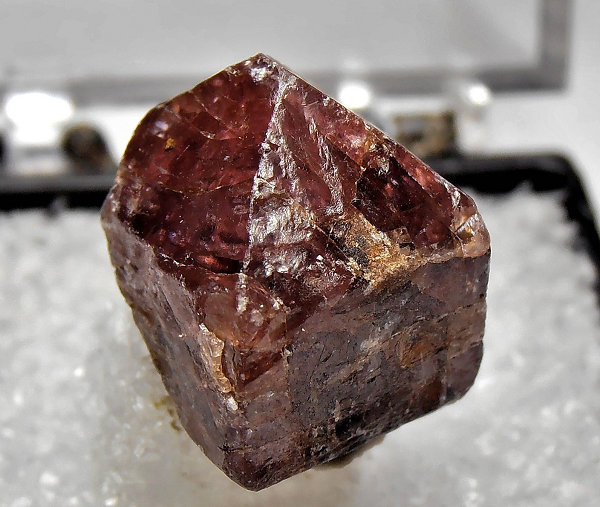 Kiến tạo mảng và các hoạt động địa chất khác có vai trò quan trọng trong việc tạo ra các điều kiện phù hợp với sự sống trên Trái Đất, làm thay đổi thành phần đại dương và khí quyển.