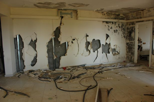 Khu phức hợp này có rất nhiều điểm tham quan nên gần như không thể xem hết chúng trong một ngày. Một số trải nghiệm thú vị bao gồm cáp treo hiện không còn tồn tại, xe lửa đồ chơi, vườn thú nhỏ và trang trại.