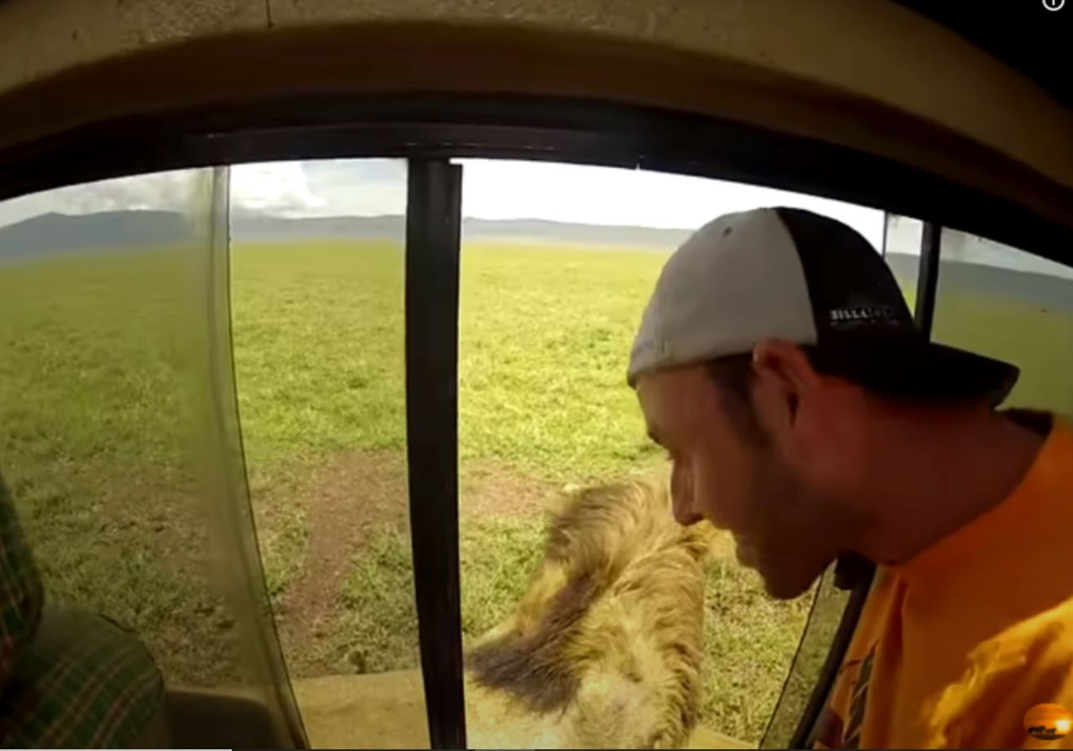 Du khach hieu ky mo cua so, su tu manh dong tho dau vao trong xe