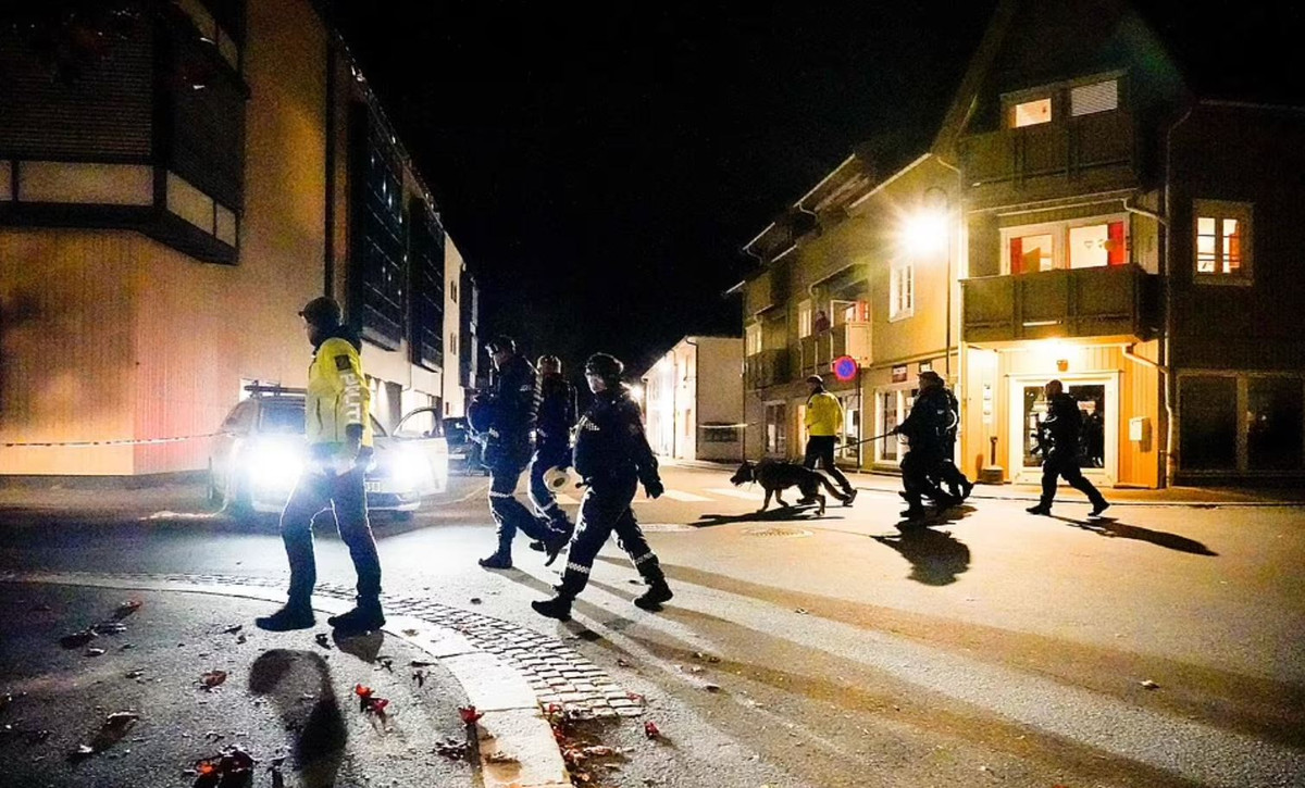 Hien truong tham khoc vu dung cung ban thuong vong 7 nguoi o Na Uy-Hinh-4