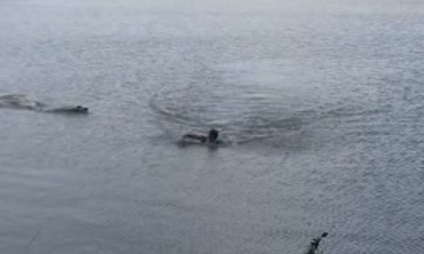 Brazil: Kinh hai khoanh khac ca sau vo nguoi dang boi