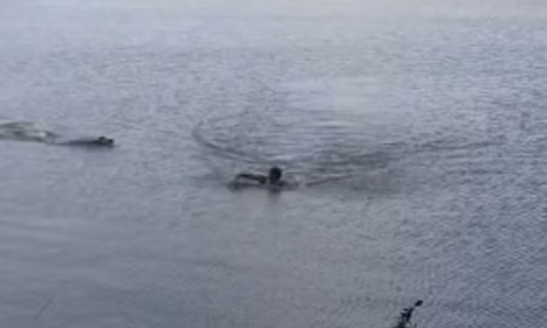 Brazil: Kinh hai khoanh khac ca sau vo nguoi dang boi