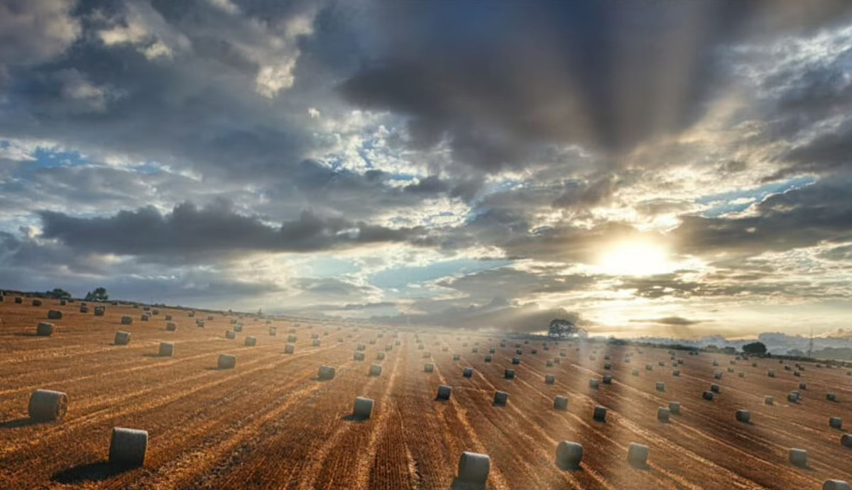 Nhiếp ảnh gia Steve Valentine đã chộp được khoảnh khắc ánh nắng mặt trời xuyên qua những đám mây phía trên cánh đồng cỏ khô màu vàng son ở Somerset.