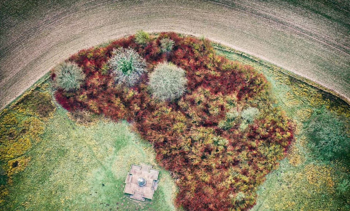 Những bụi cây màu "gỉ sắt" trên ngọn đồi màu vàng và ngọc lục bảo dọc theo con đường Ridgeway ở Oxfordshire khi thu tàn, đông đến.