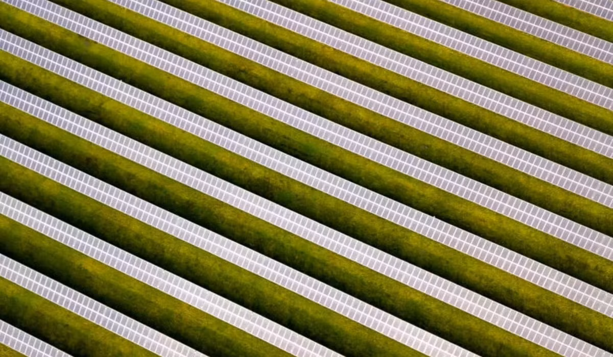 Máy bay không người lái không chỉ lưu giữ vẻ đẹp của thiên nhiên mà còn chụp được cả những công trình sáng tạo tuyệt vời của con người. Đây là các dãy pin mặt trời ở Somerset nhìn từ trên cao.